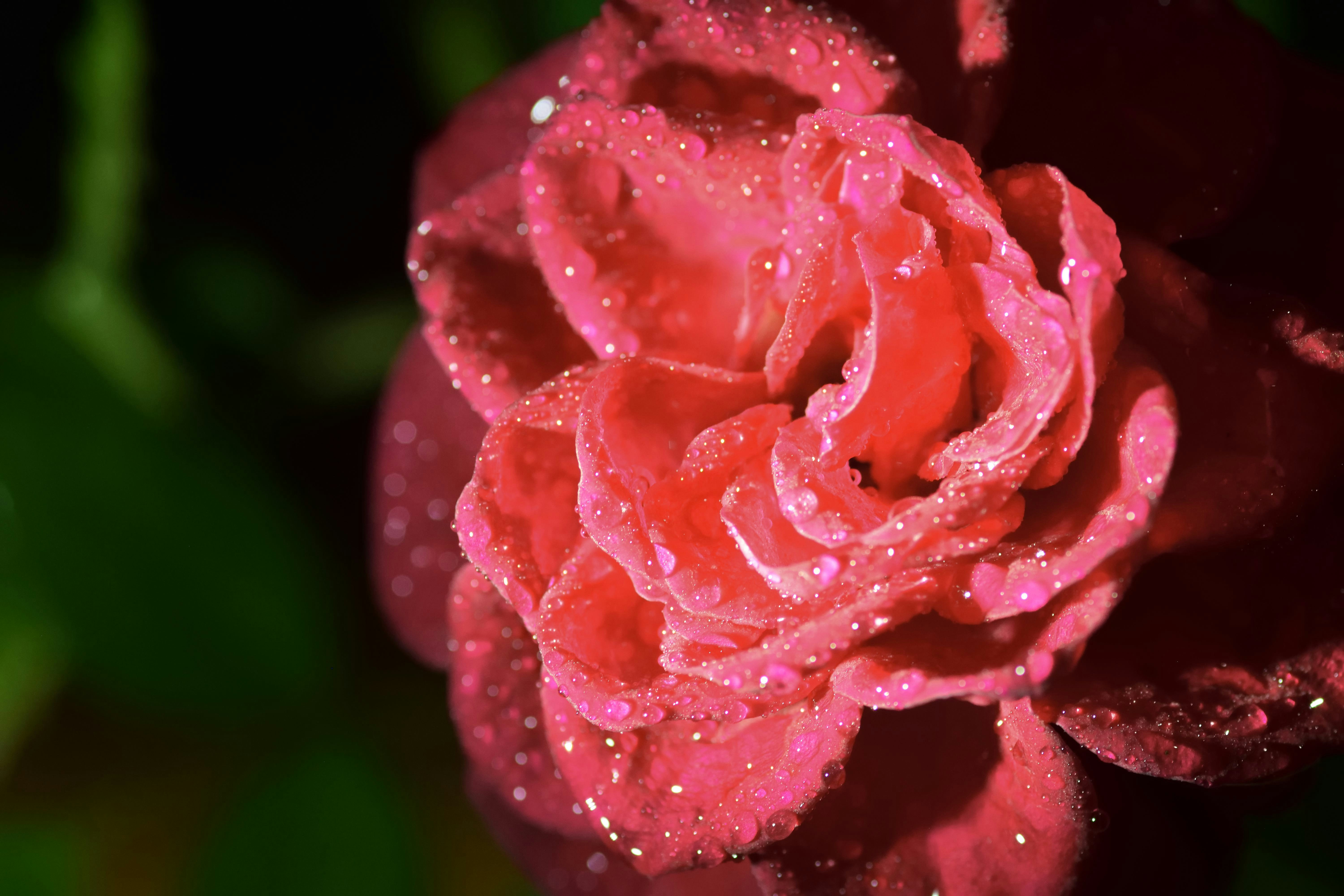 Photo by tobyjay2010