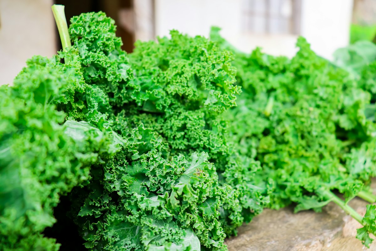 A bunch of curly kale