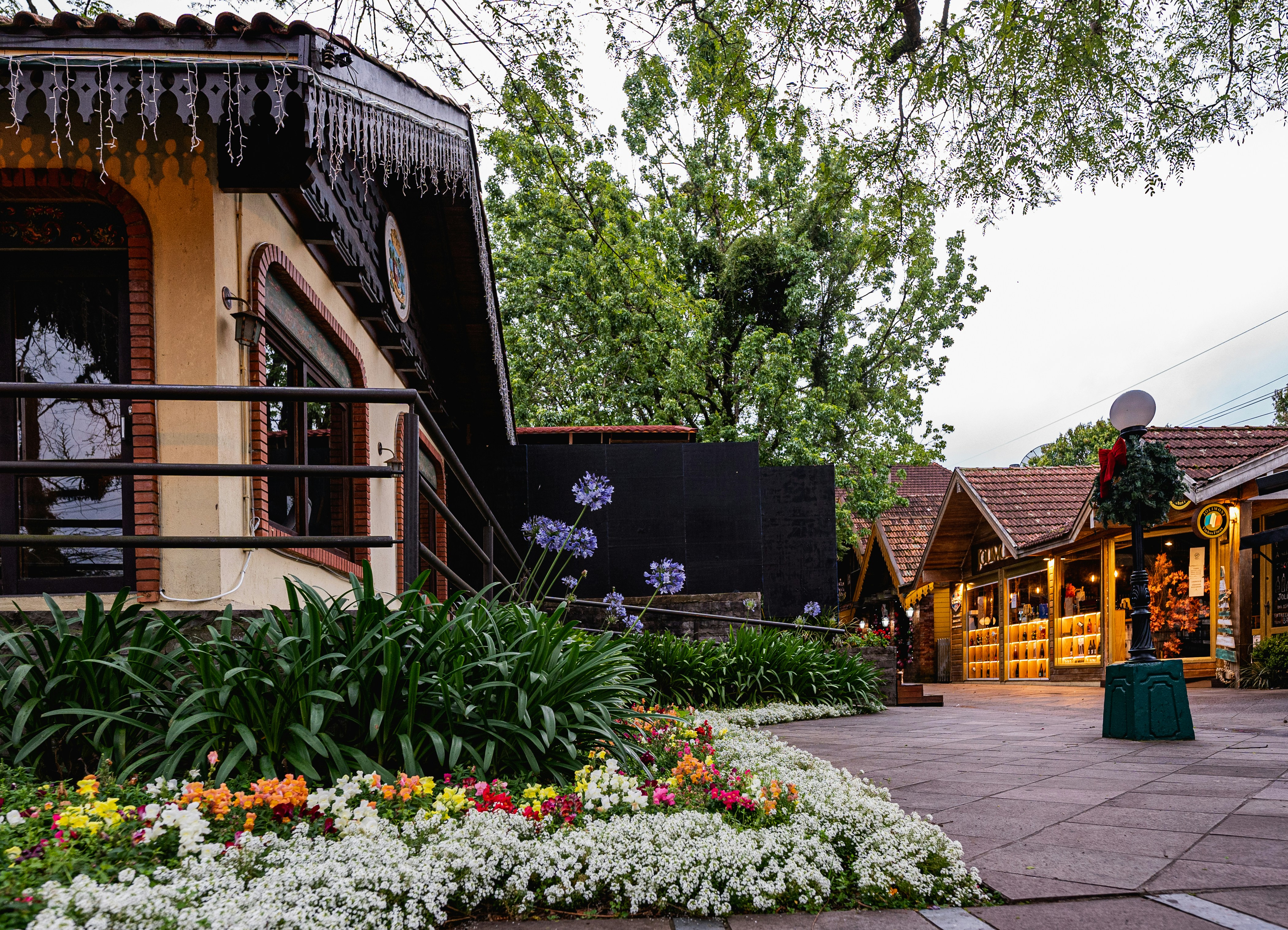 Un jardín frente a una casa