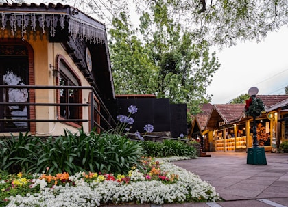 a garden in front of a house