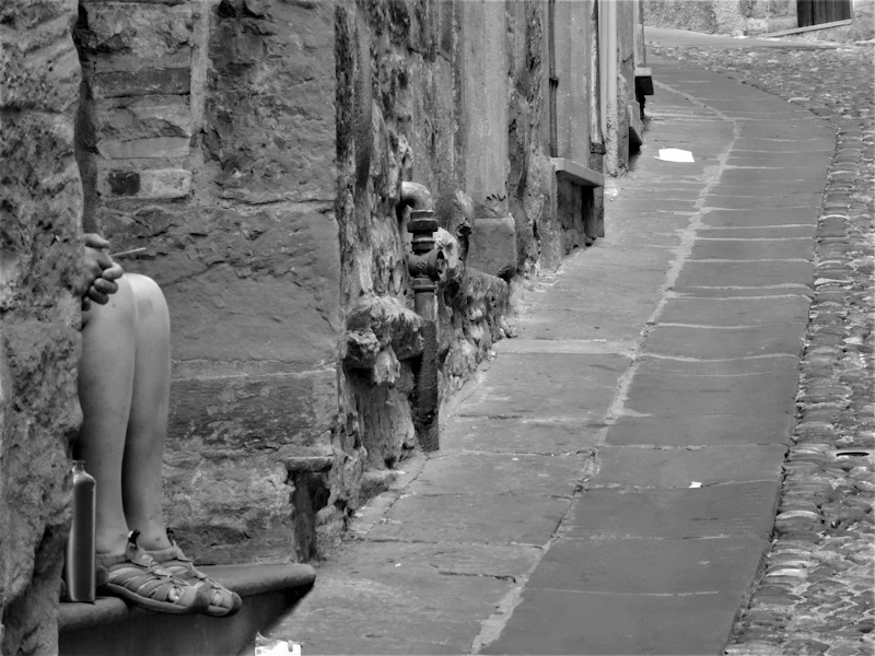 Most Walkable Neighborhoods in Bergamo to Explore Entirely on Foot