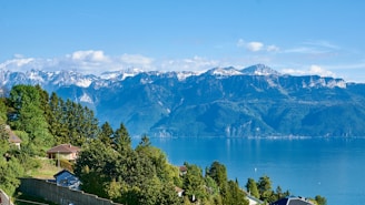 a body of water with trees and mountains in the background