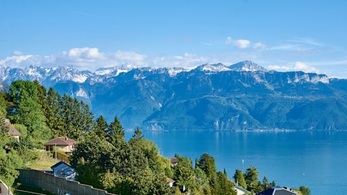 a body of water with trees and mountains in the background
