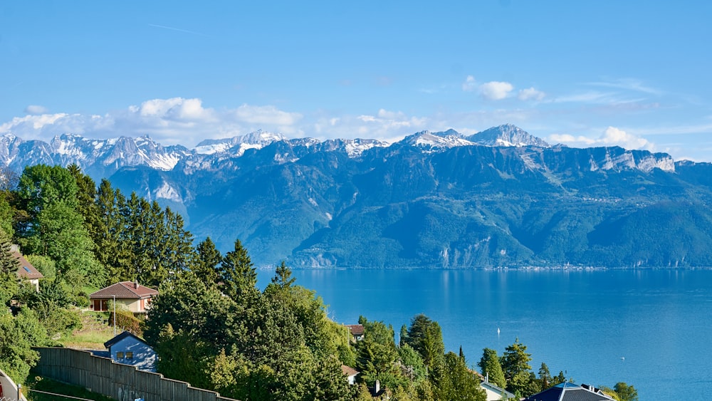 a body of water with trees and mountains in the background