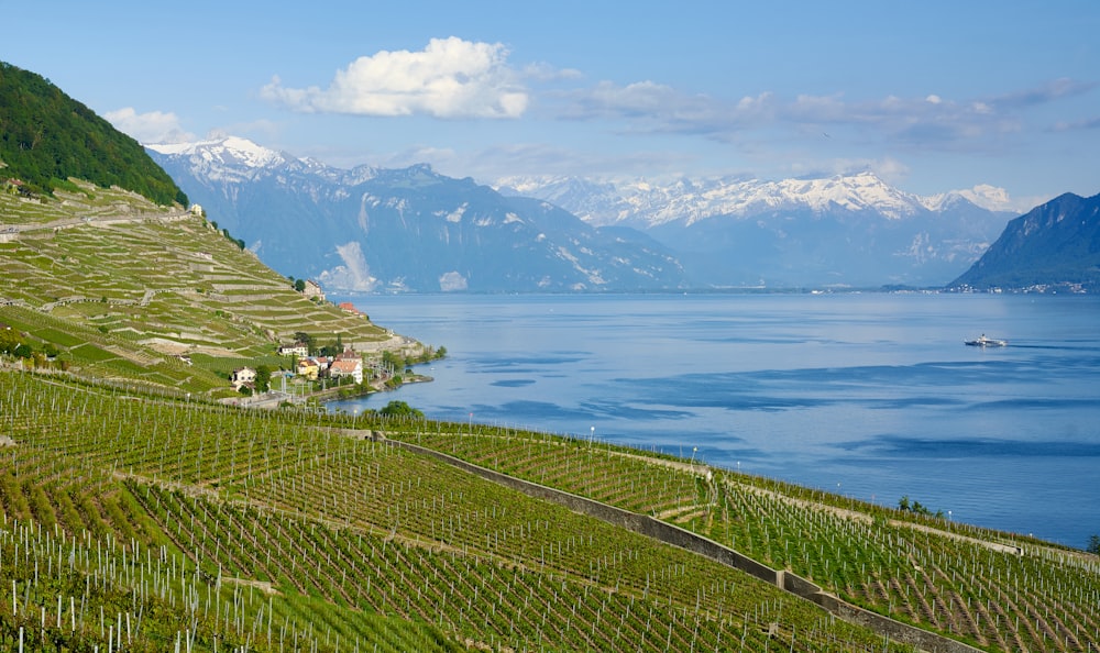 a fence in front of a body of water with mountains in the background