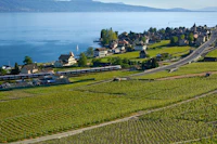 Best Artisan Bakeries in Lausanne for Bread Worth Getting Up Early For