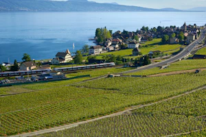 Lausanne