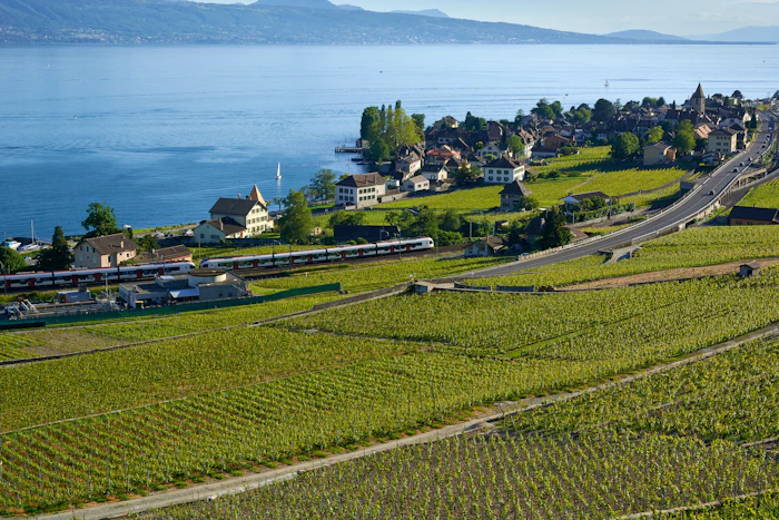 Best Artisan Bakeries in Lausanne for Bread Worth Getting Up Early For