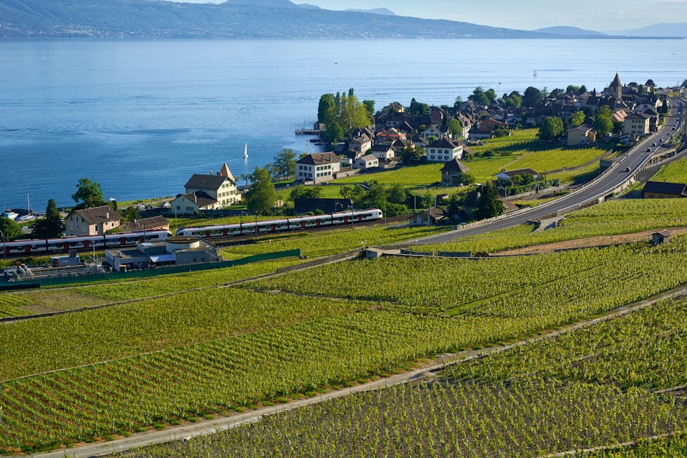 a green field with houses and trees by a body of water