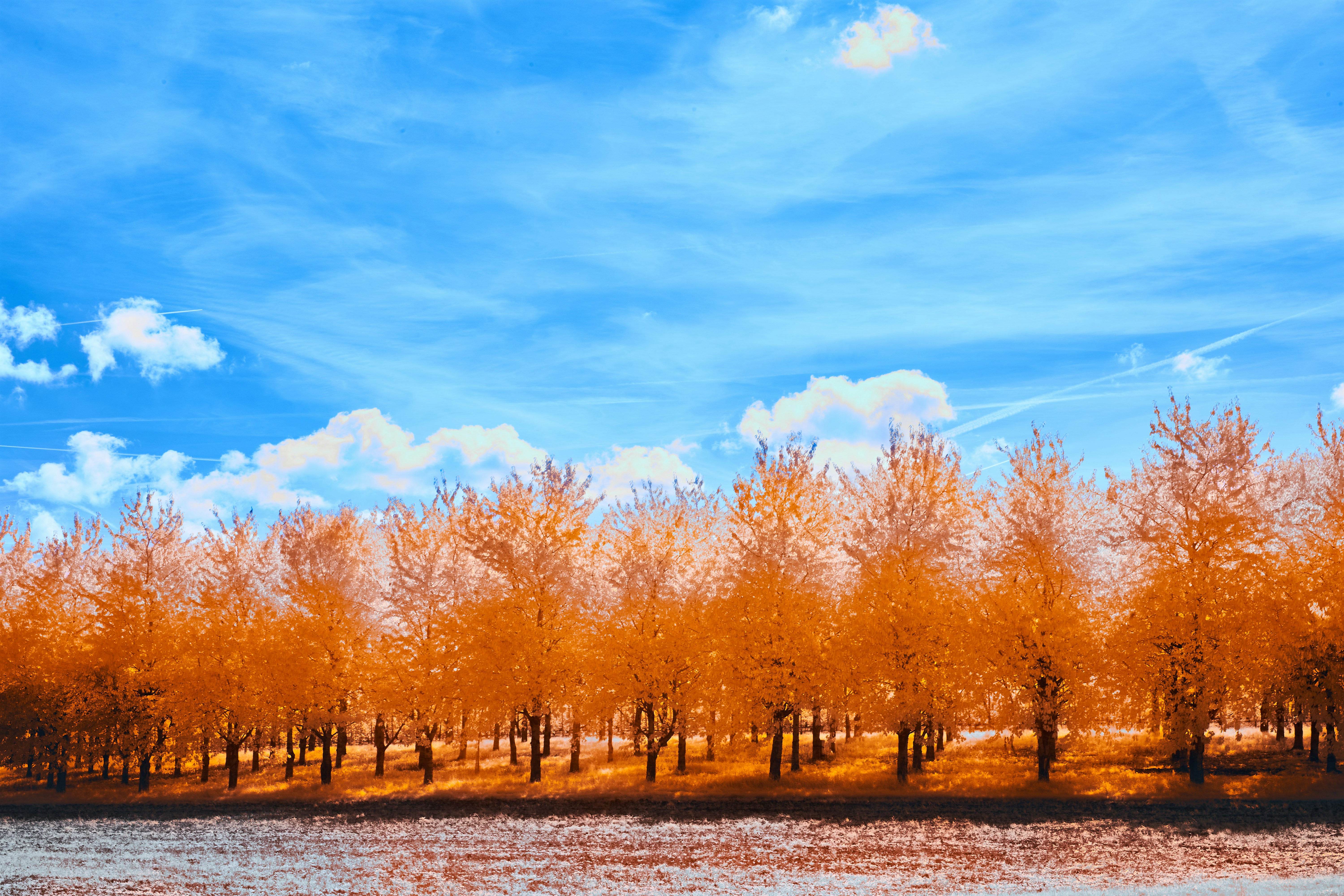 Photo by wolfgang_hasselmann