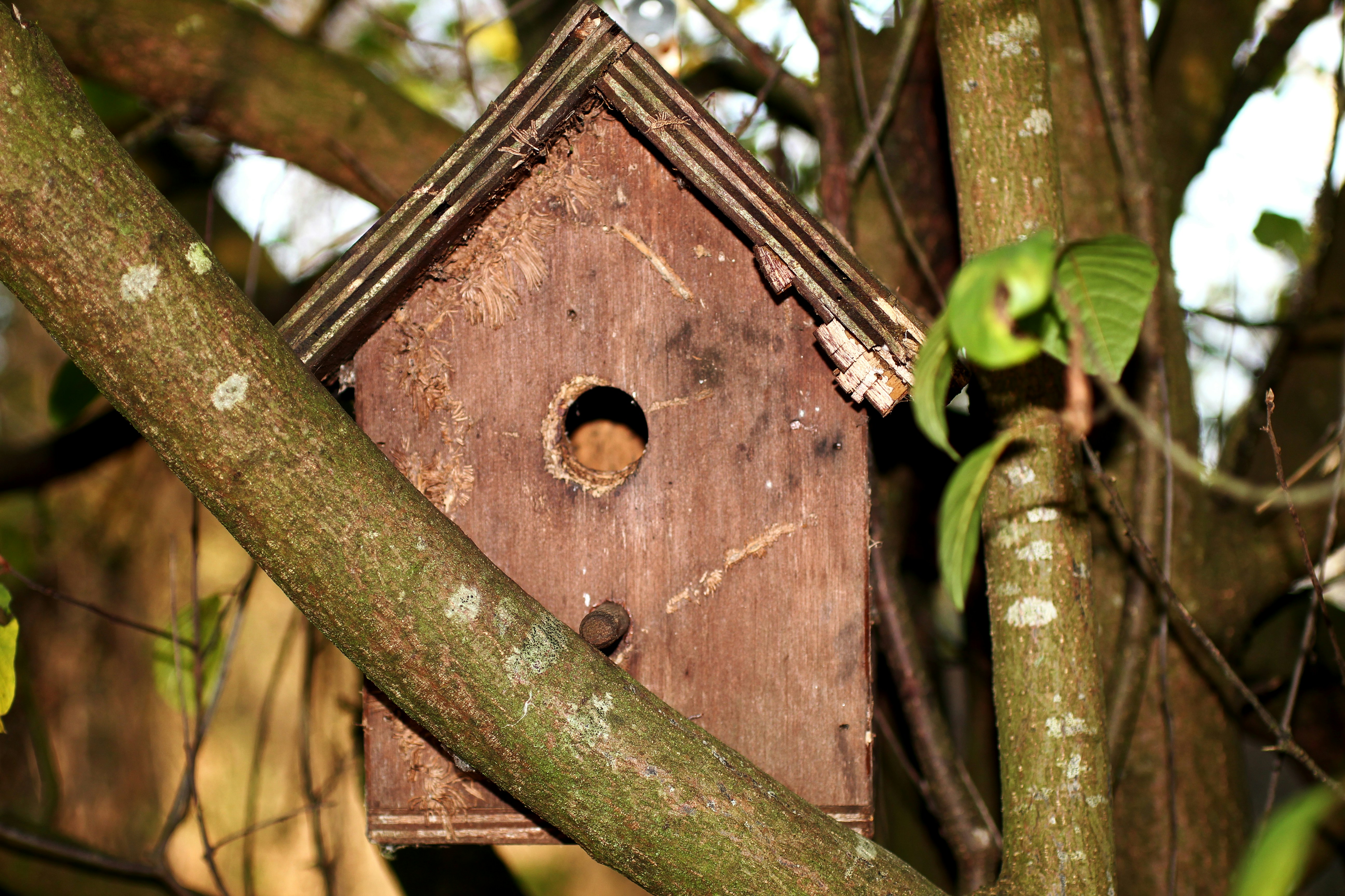 Photo by fidgetingferdie