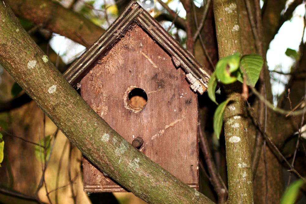 Maison D'oiseau Sur Un Arbre Dans Le Parc Forestier, Refuge Pour Les Oiseaux  En Bois Manuel Prendre Soin Des Oiseaux Image stock - Image du toit,  normal: 157767485