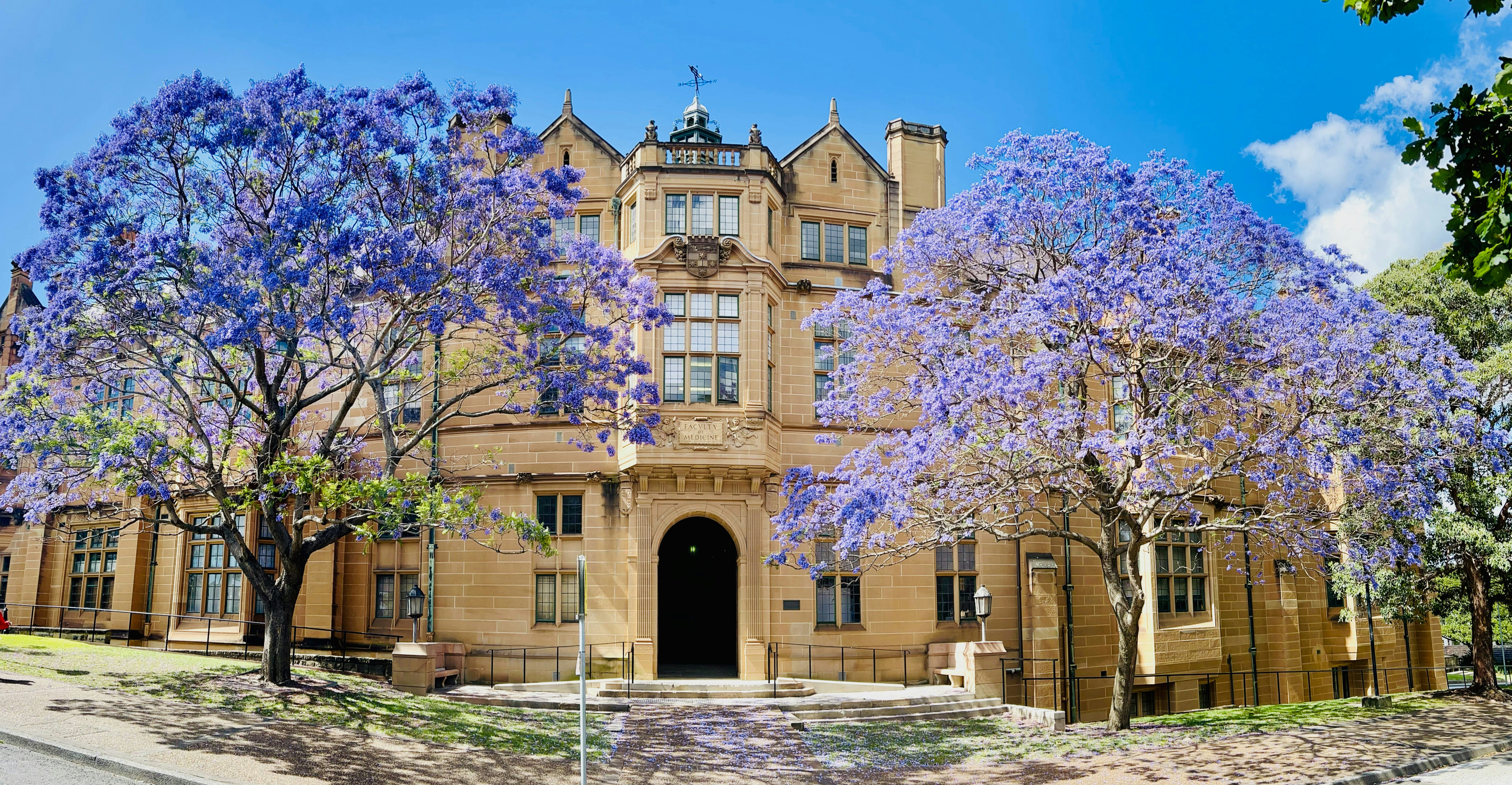 Hornsby Library