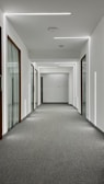 A bright hallway with freshly vacuumed carpet and clean walls.
