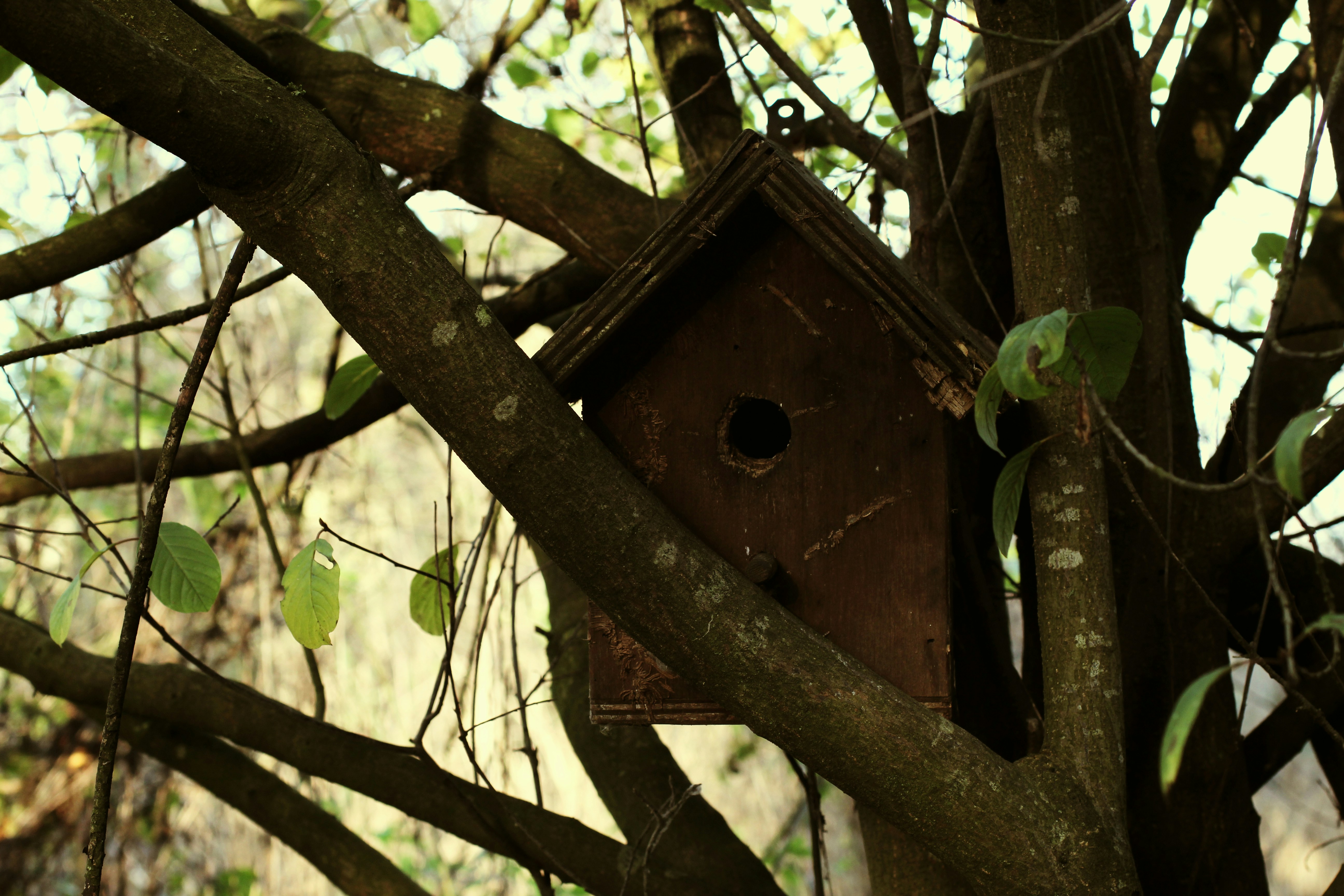 Photo by fidgetingferdie