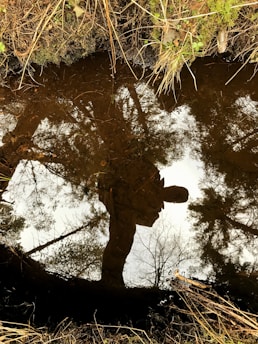 A person reflecting in nature, symbolizing personal growth.