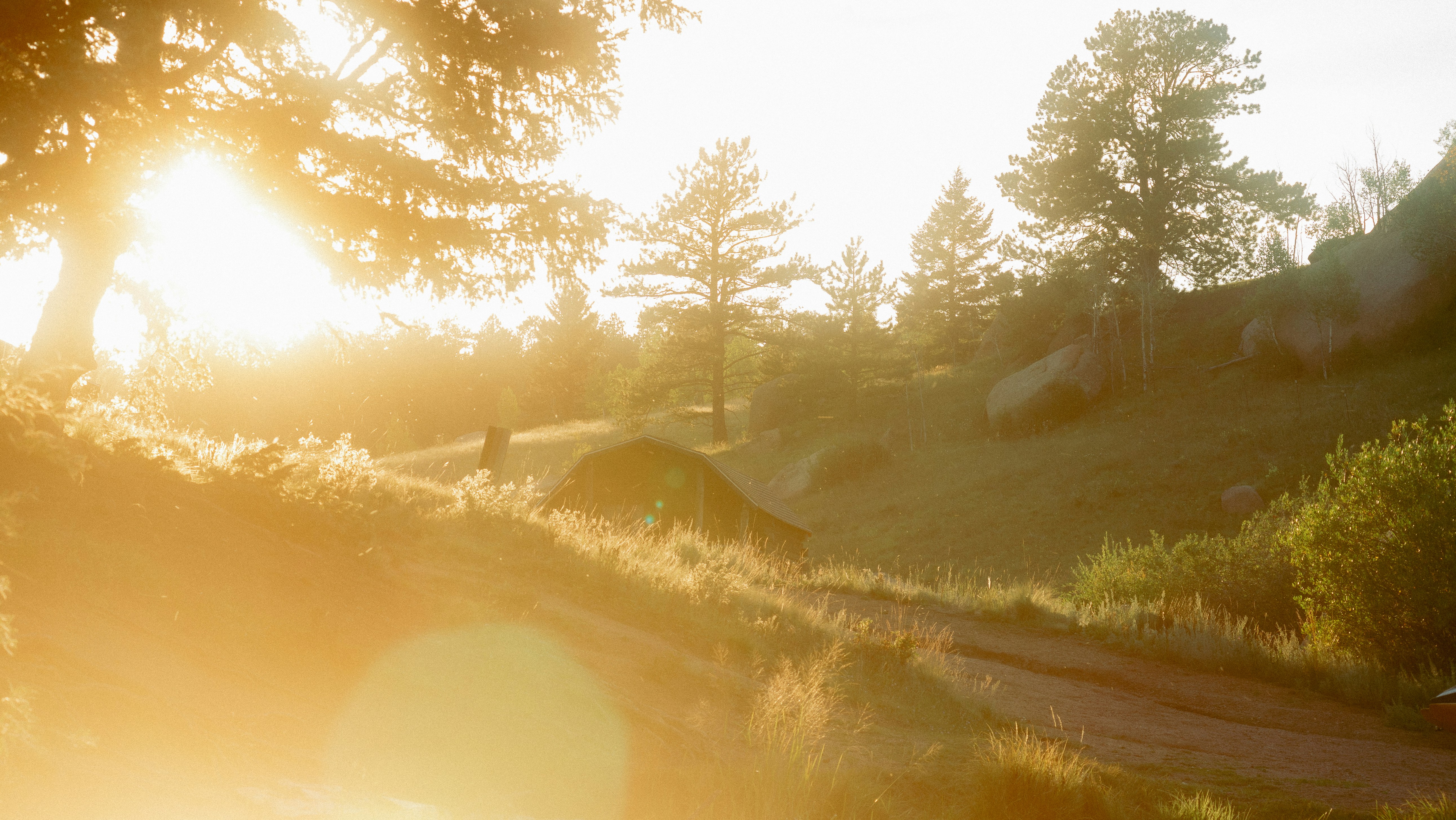 Photo by tomfooleryphoto