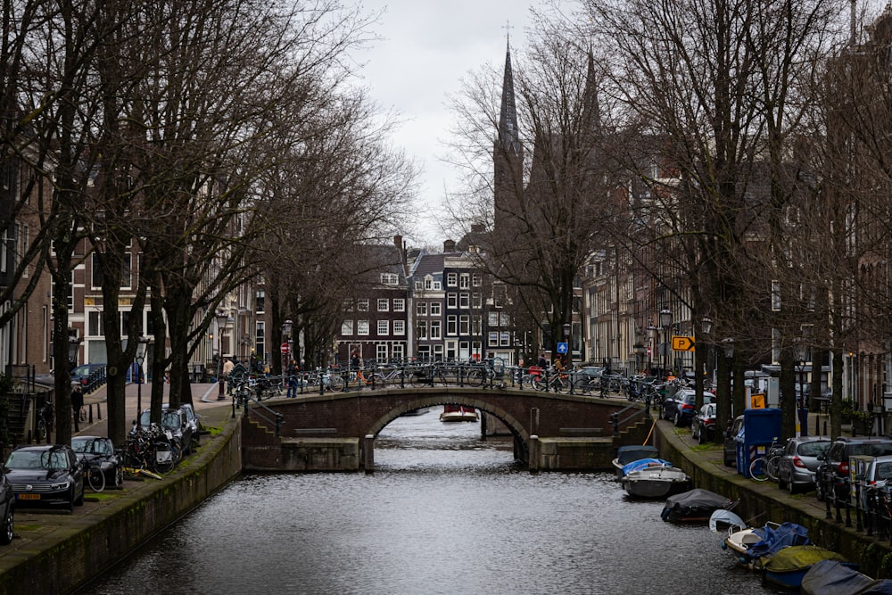 a bridge over a river