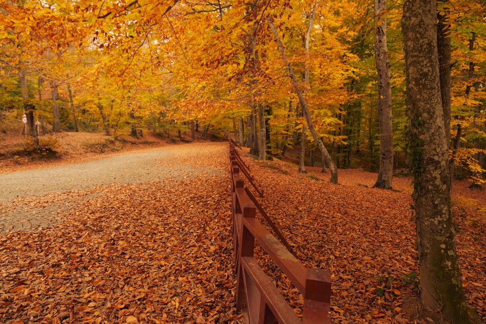 a wooden bridge over a road