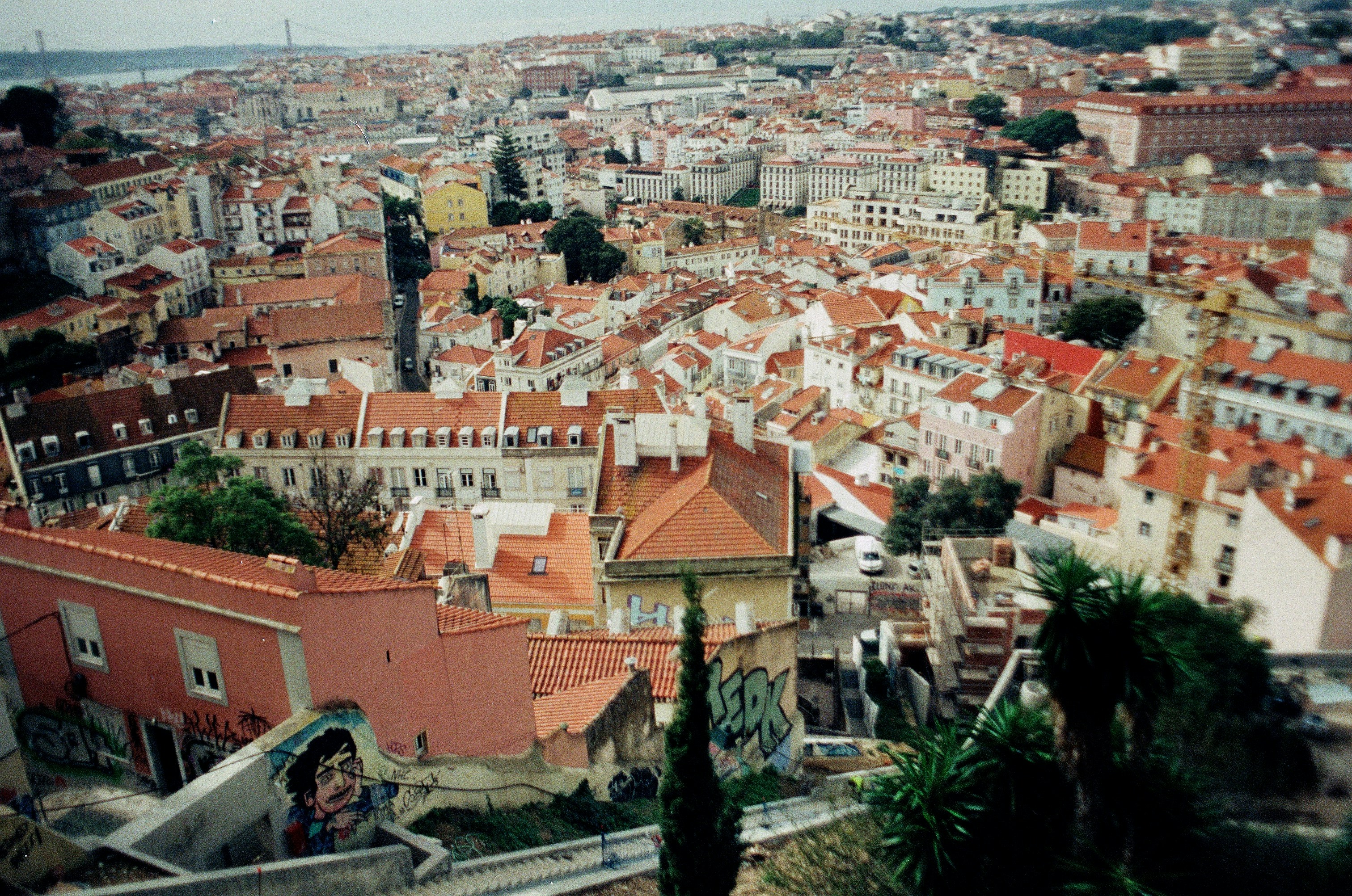 Photo by babikacharava