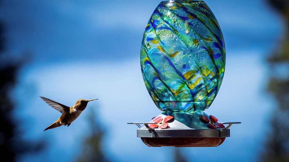 a bird flying next to a bird feeder