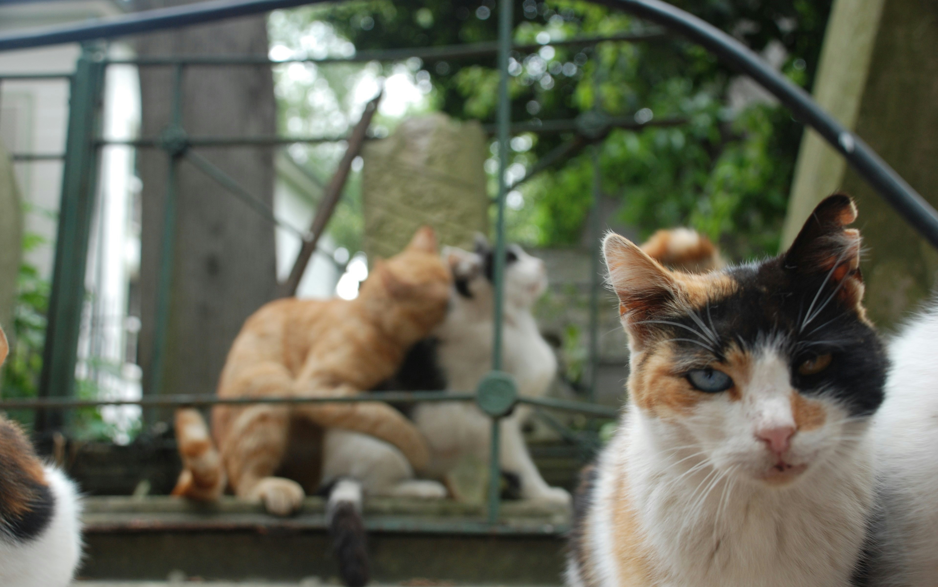 Photo by haruncenani