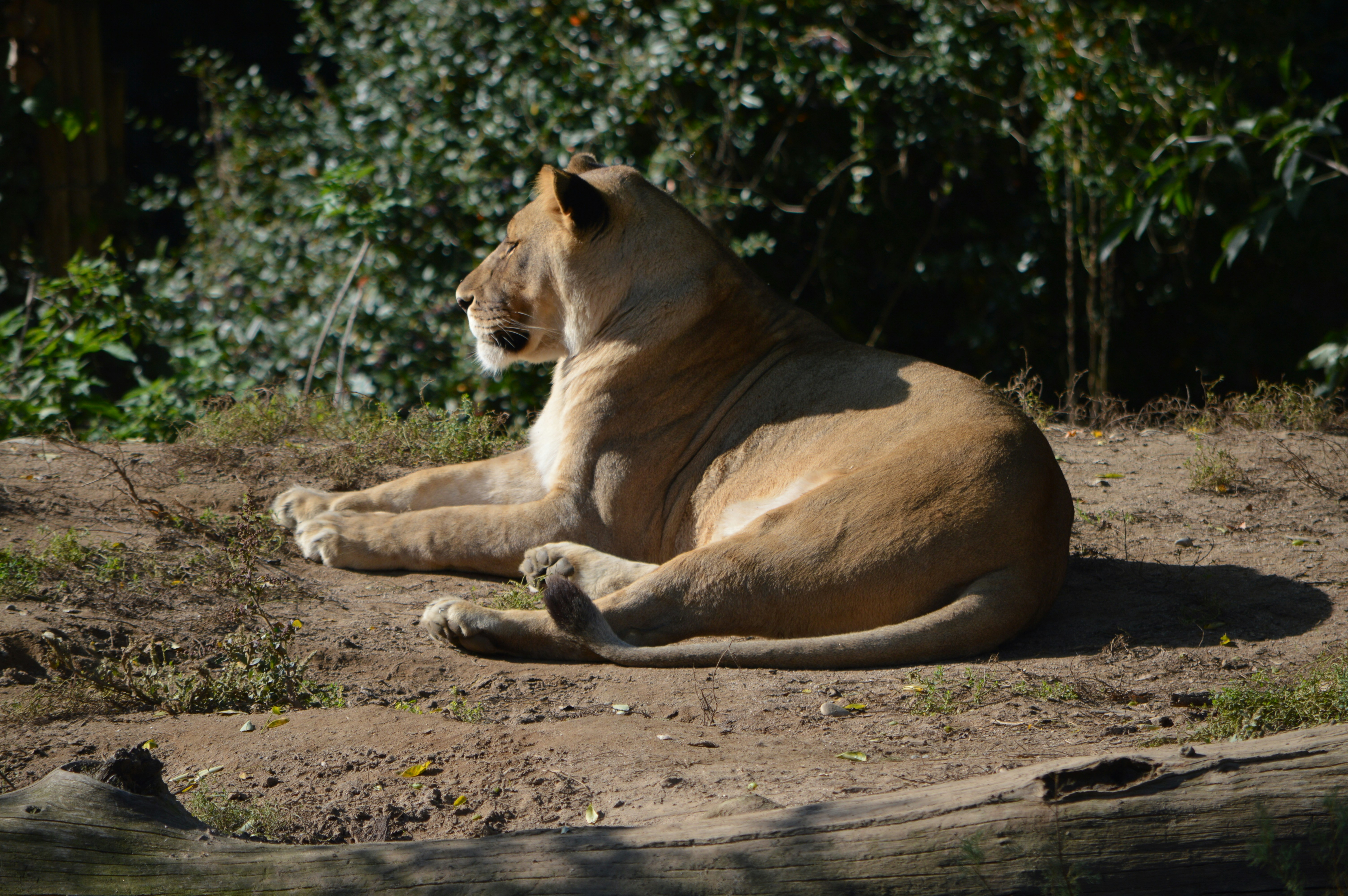 Photo by annikaashley