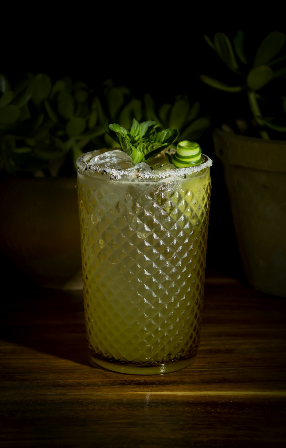 a plant in a glass jar