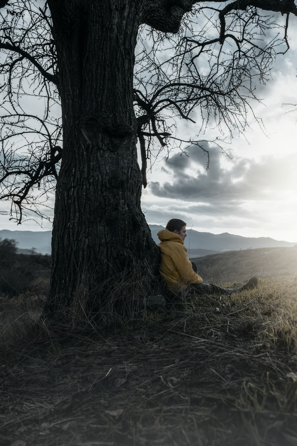 a person sitting next to a tree