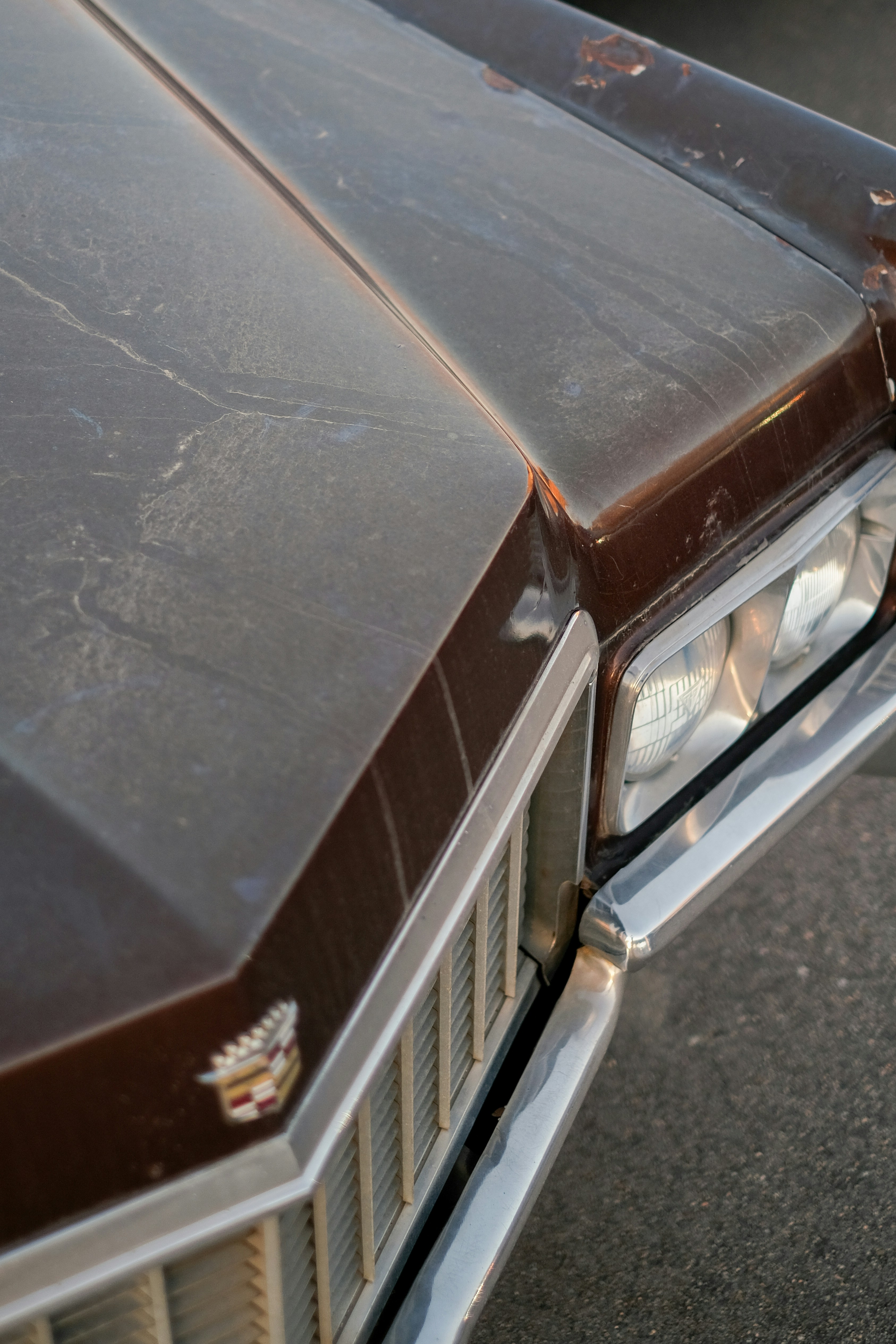 Photo by dillydallying