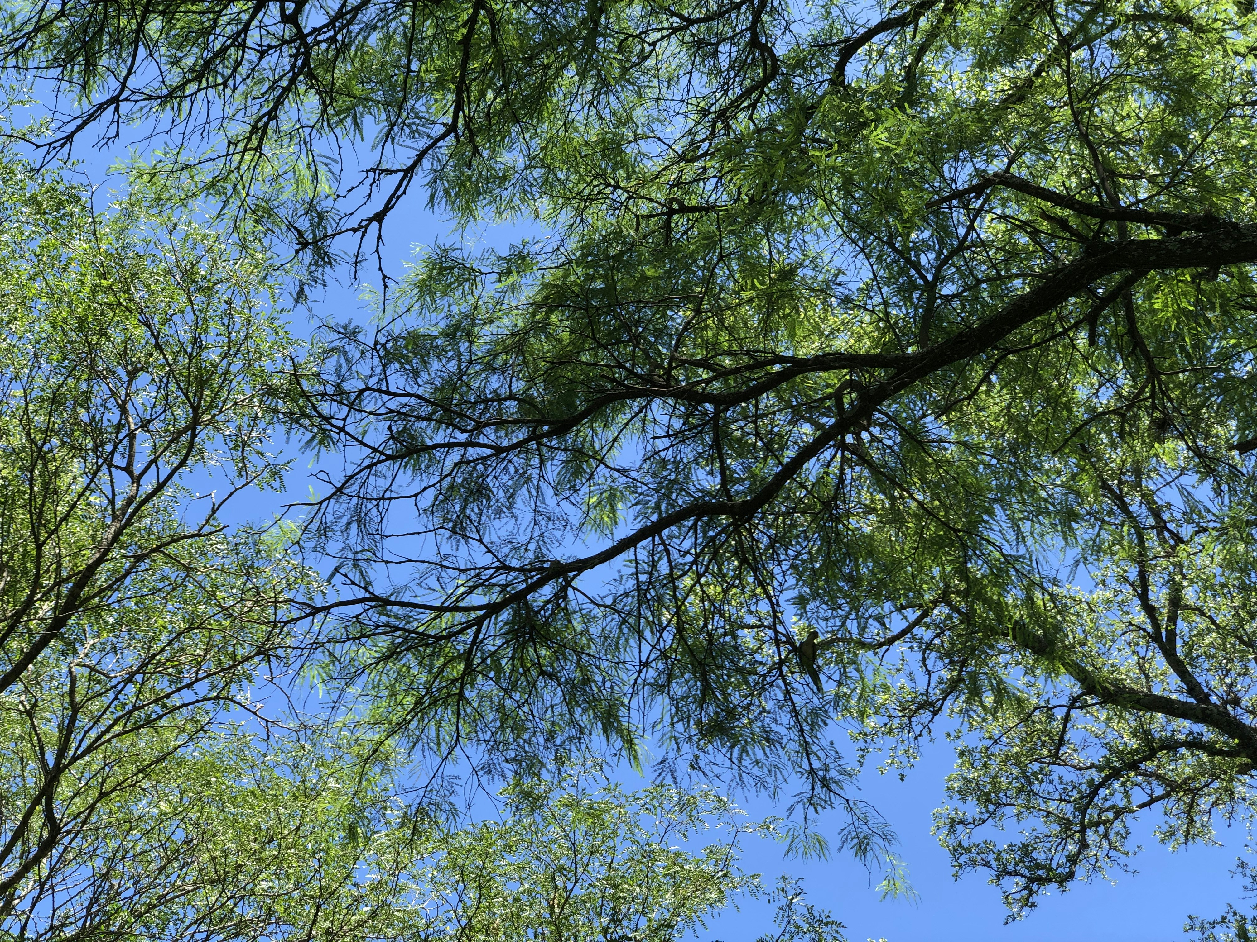 Photo by sunshinestudio82