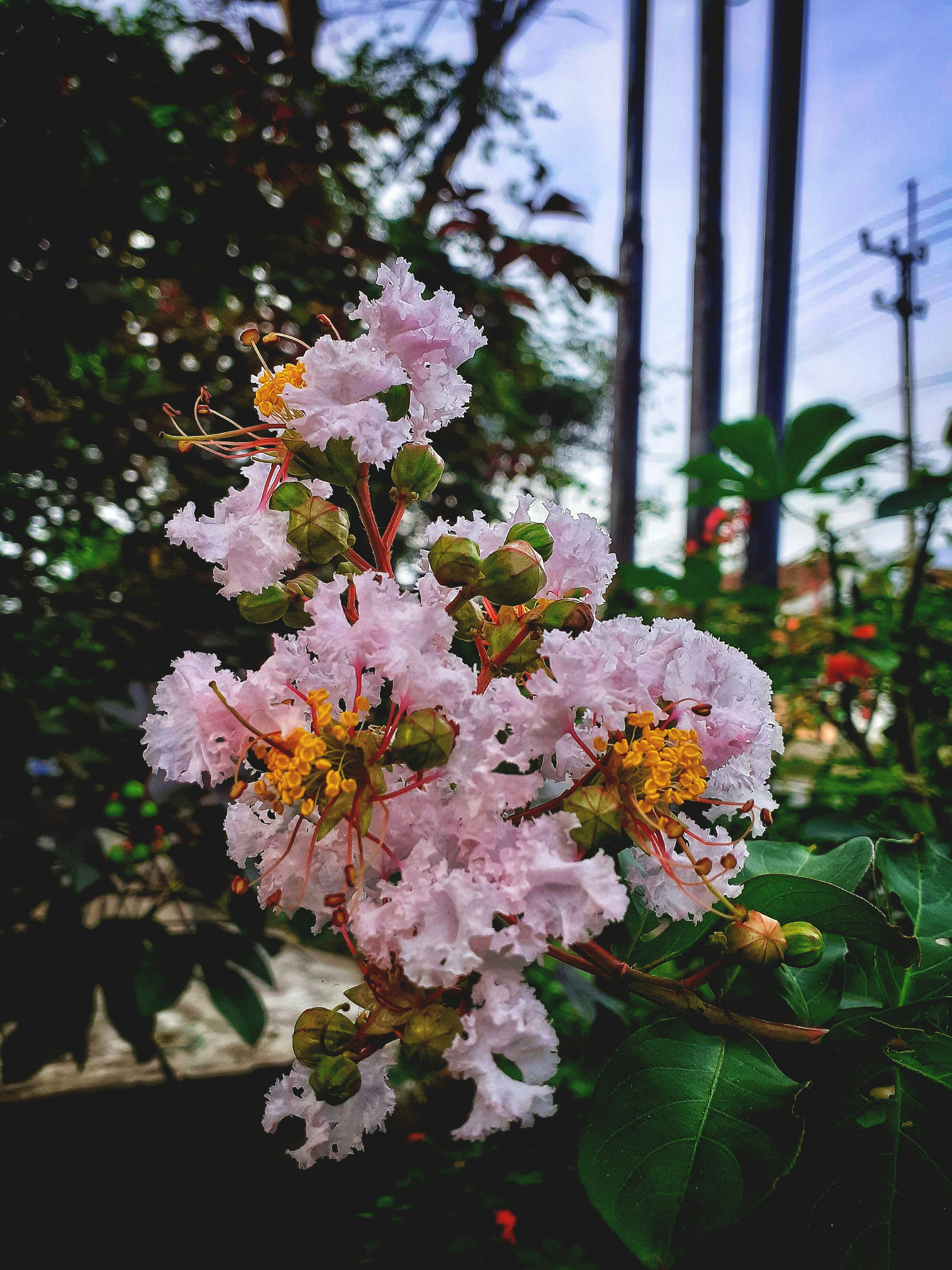 Photo by ahmadkharis