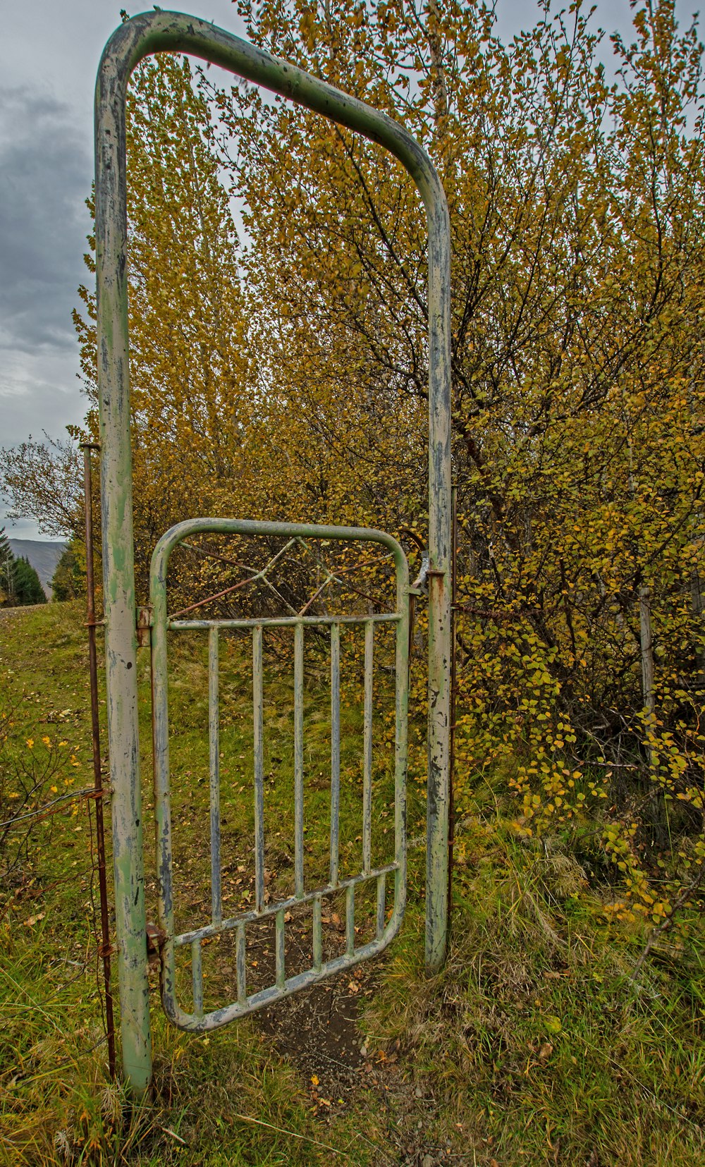 a metal gate in a field