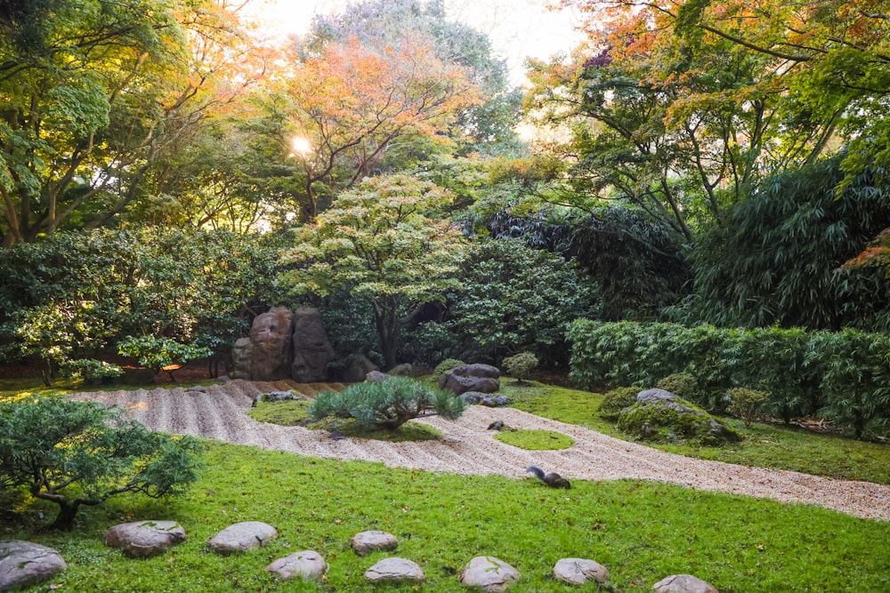 a garden with rocks and trees