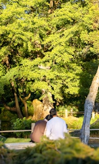 A serene park setting where a couple shares a moment of affection.