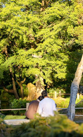 A warm, smiling couple enjoying a sunny park bench, symbolizing new beginnings.