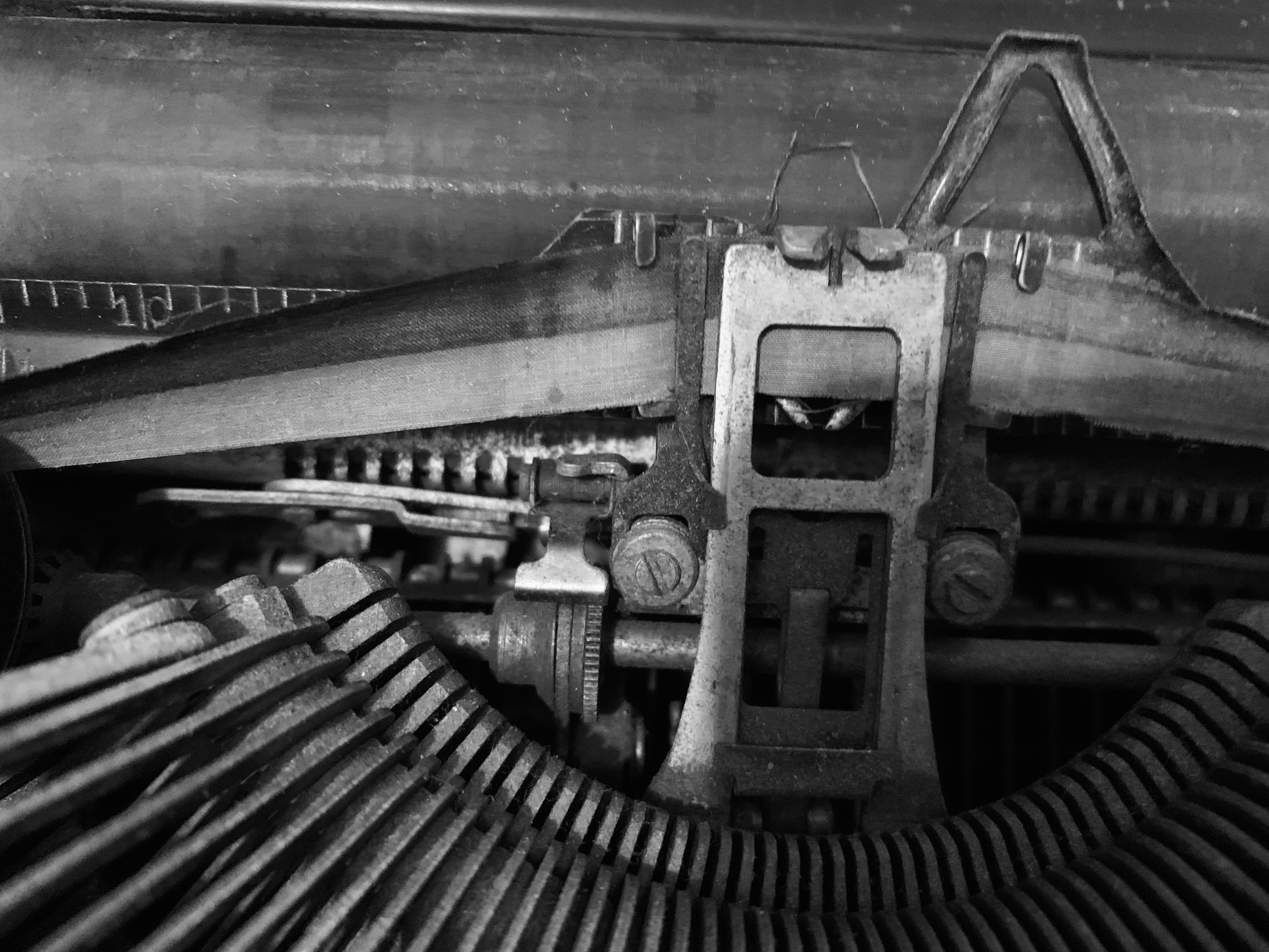 Photo by suzannefinn