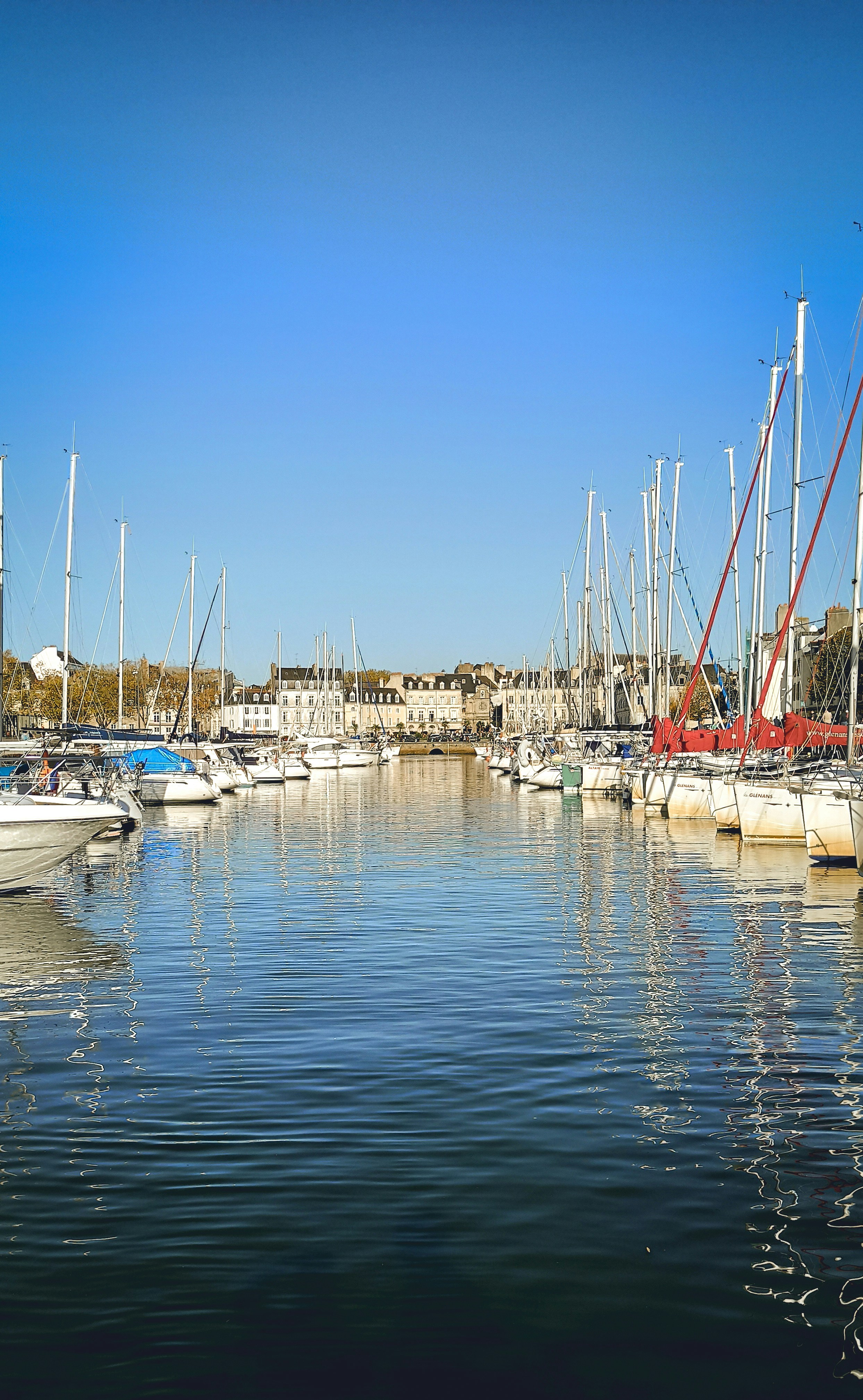 Photo by krisdeschacals