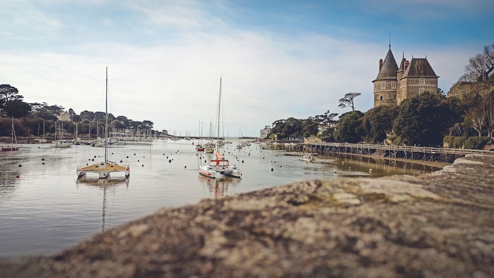 a group of boats sit in a harbor