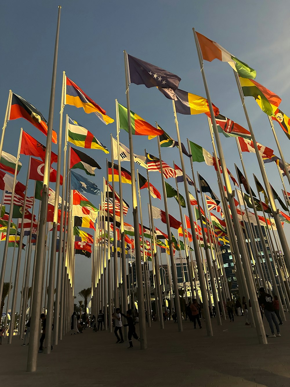 a group of flags