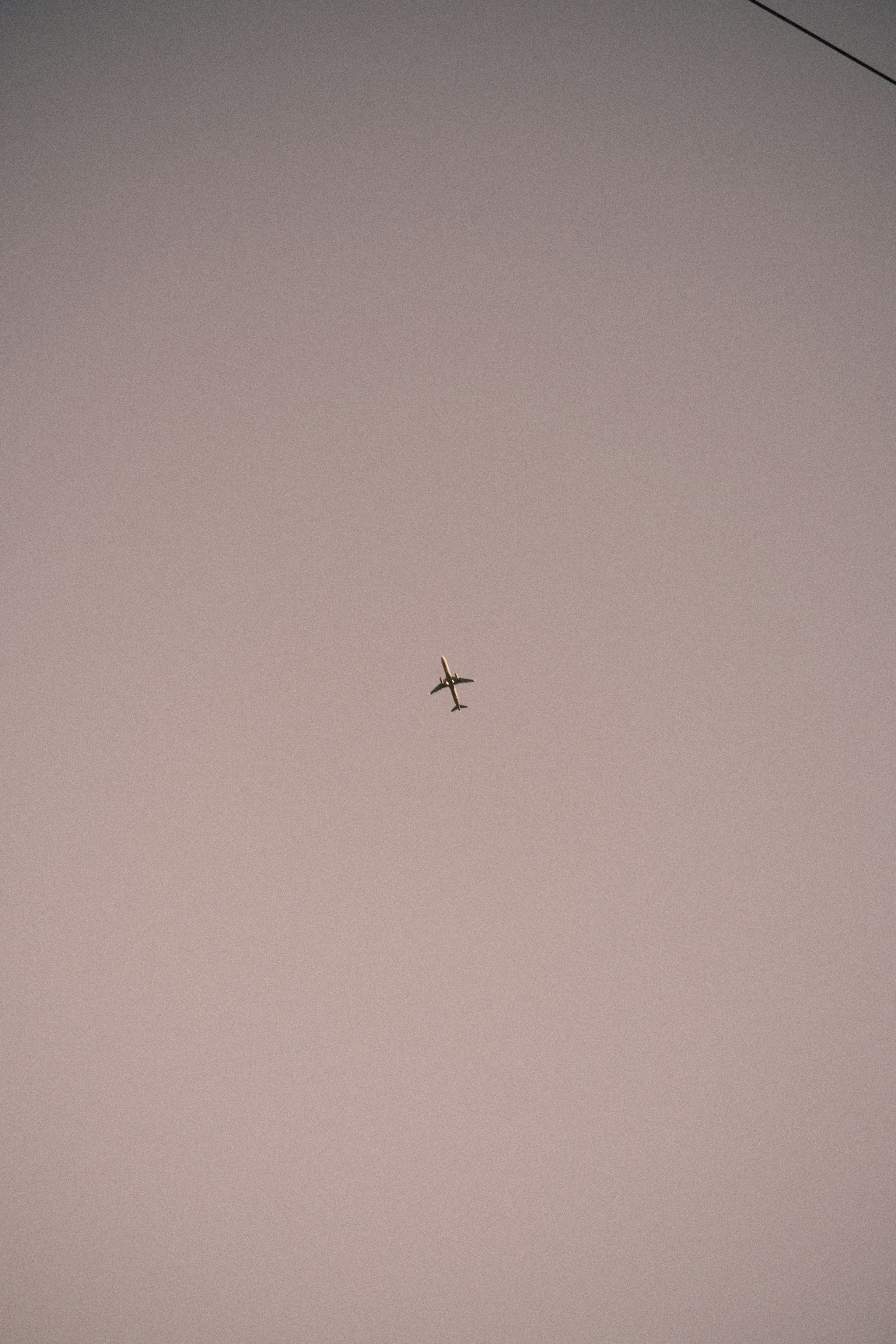 Photo by undermyarchive