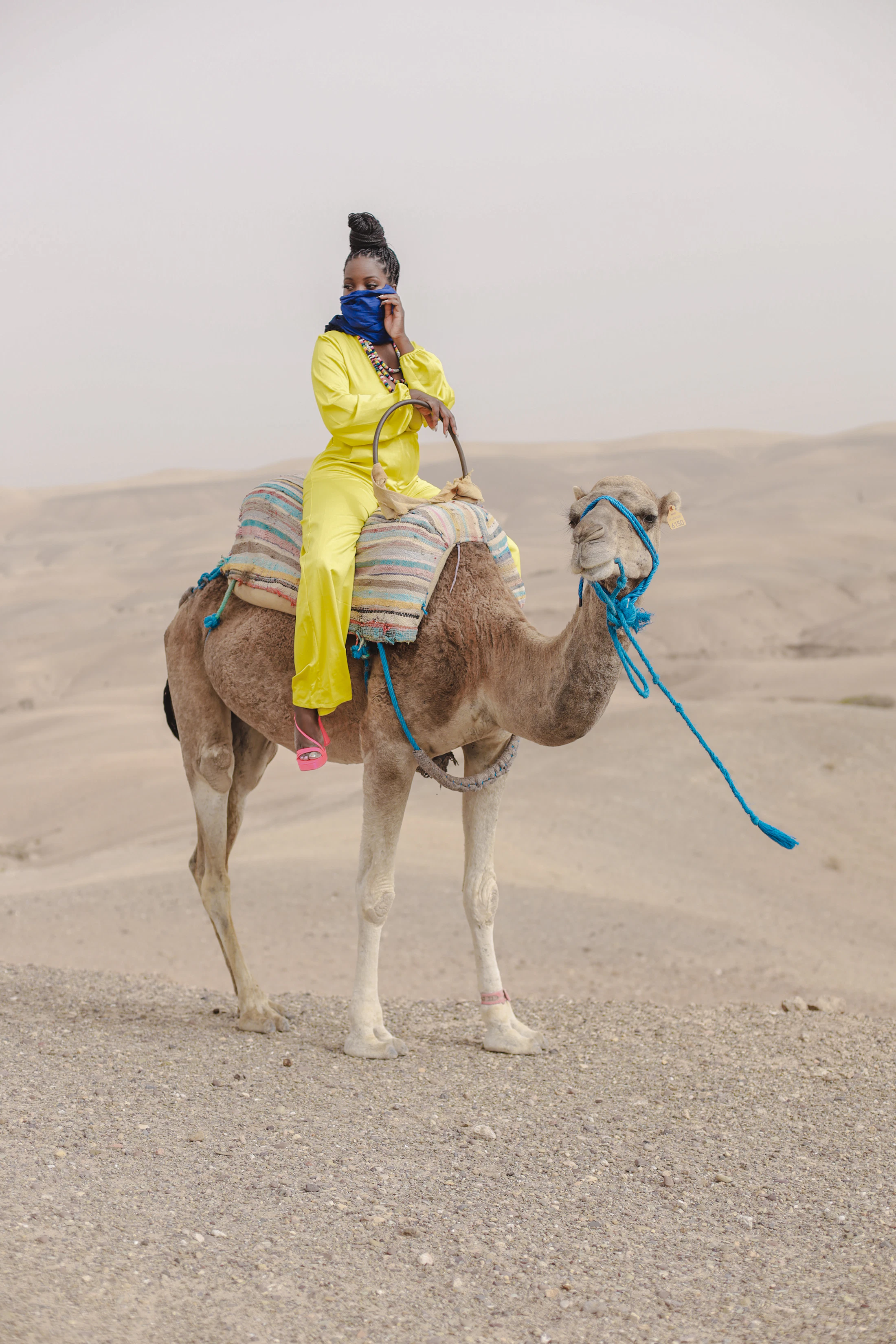 A rider crossing the desert on a camel