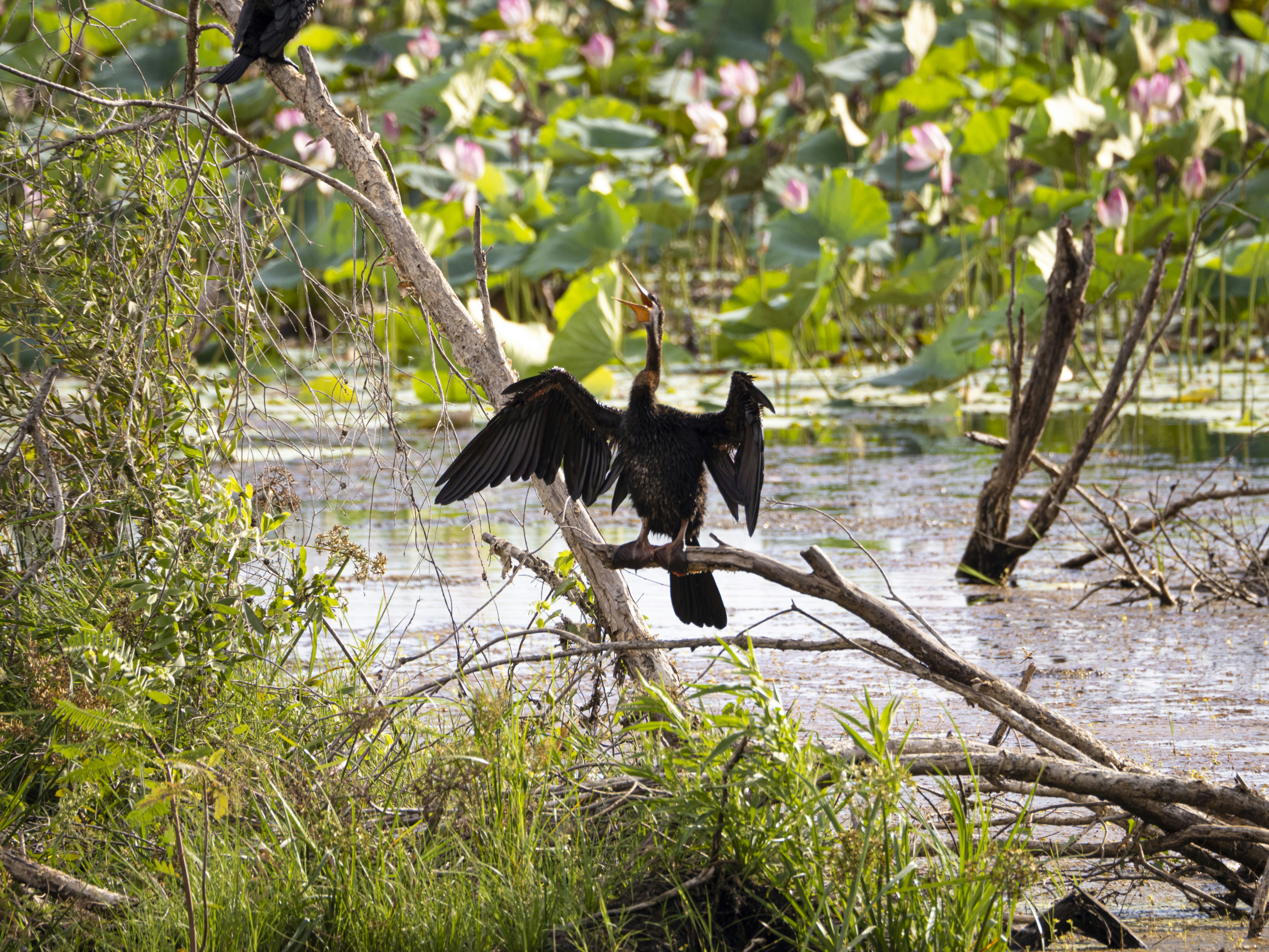 Photo by liefdevoorreizen