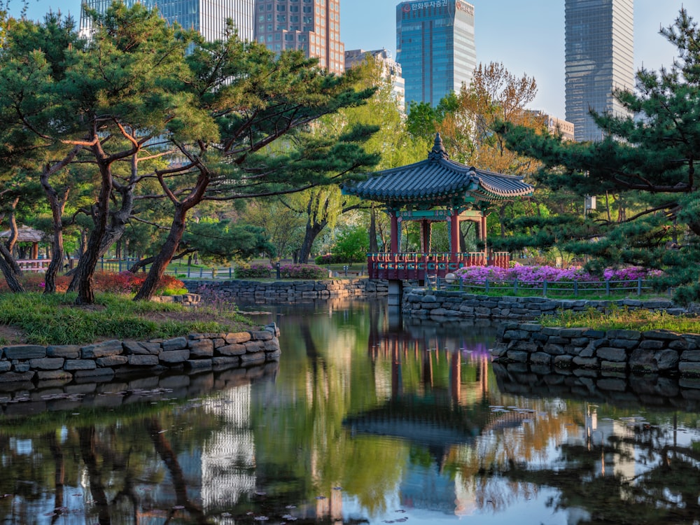 a pond with a building in the background