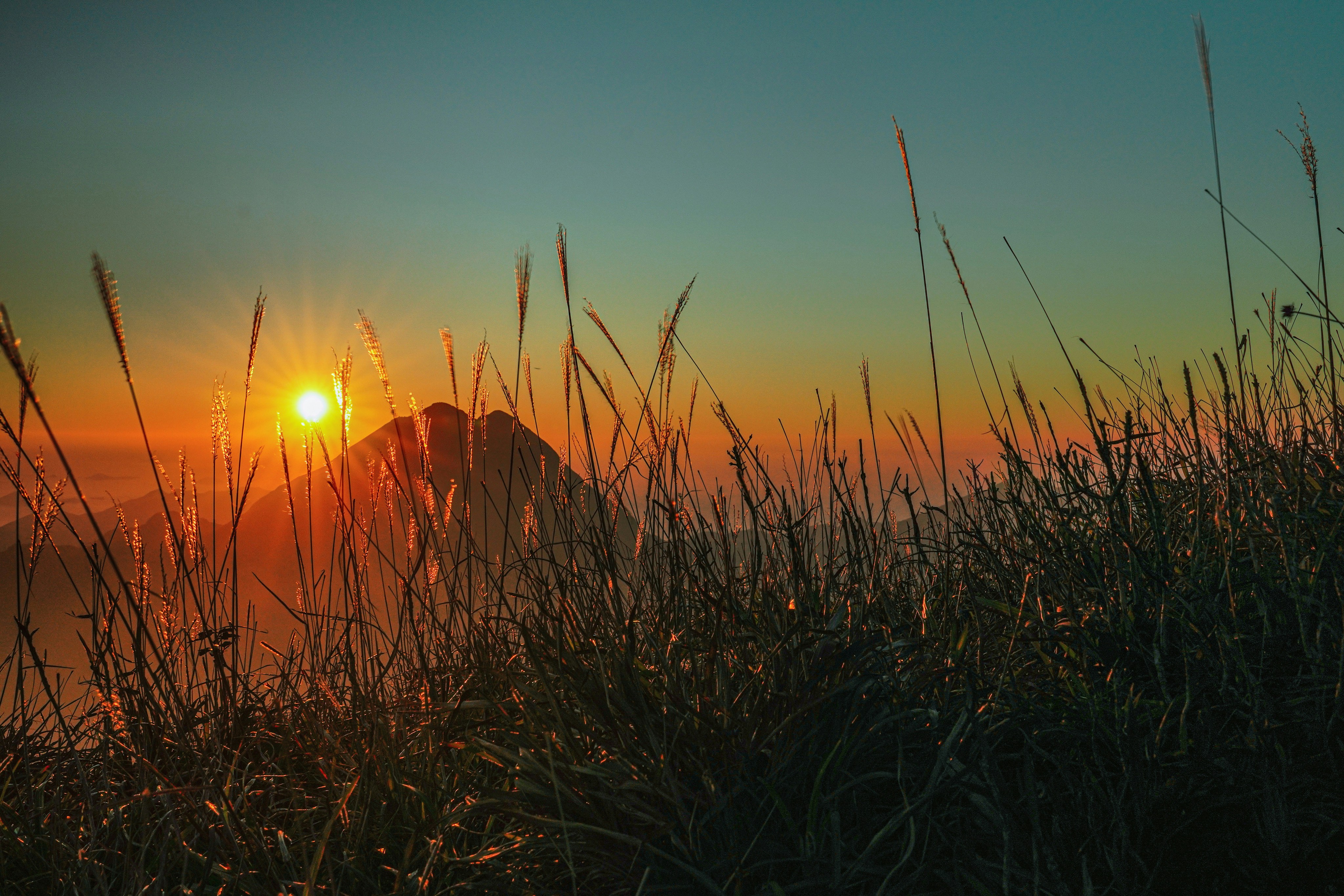 Photo by henrylaiphotography