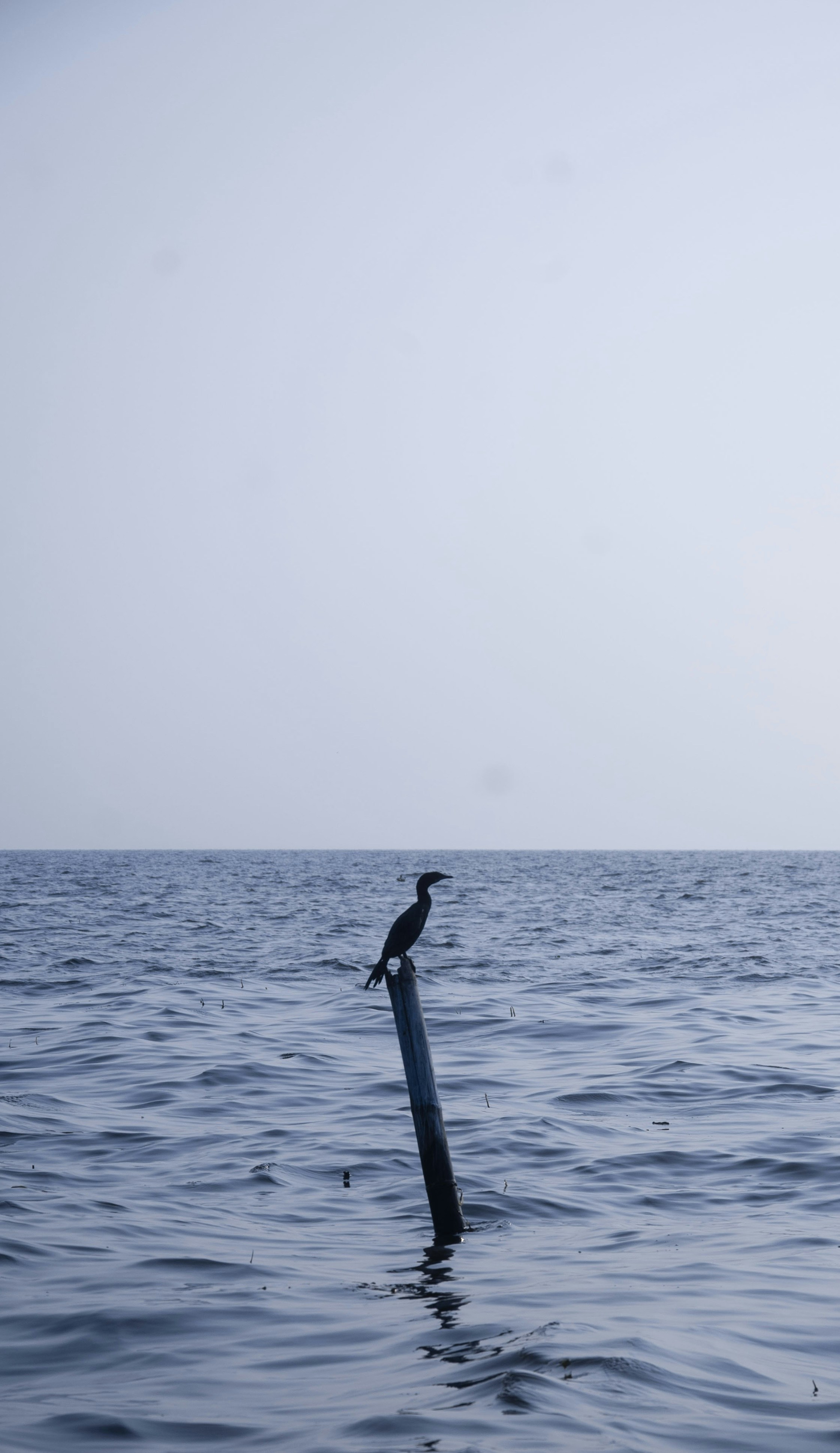 Photo by akashsandeep