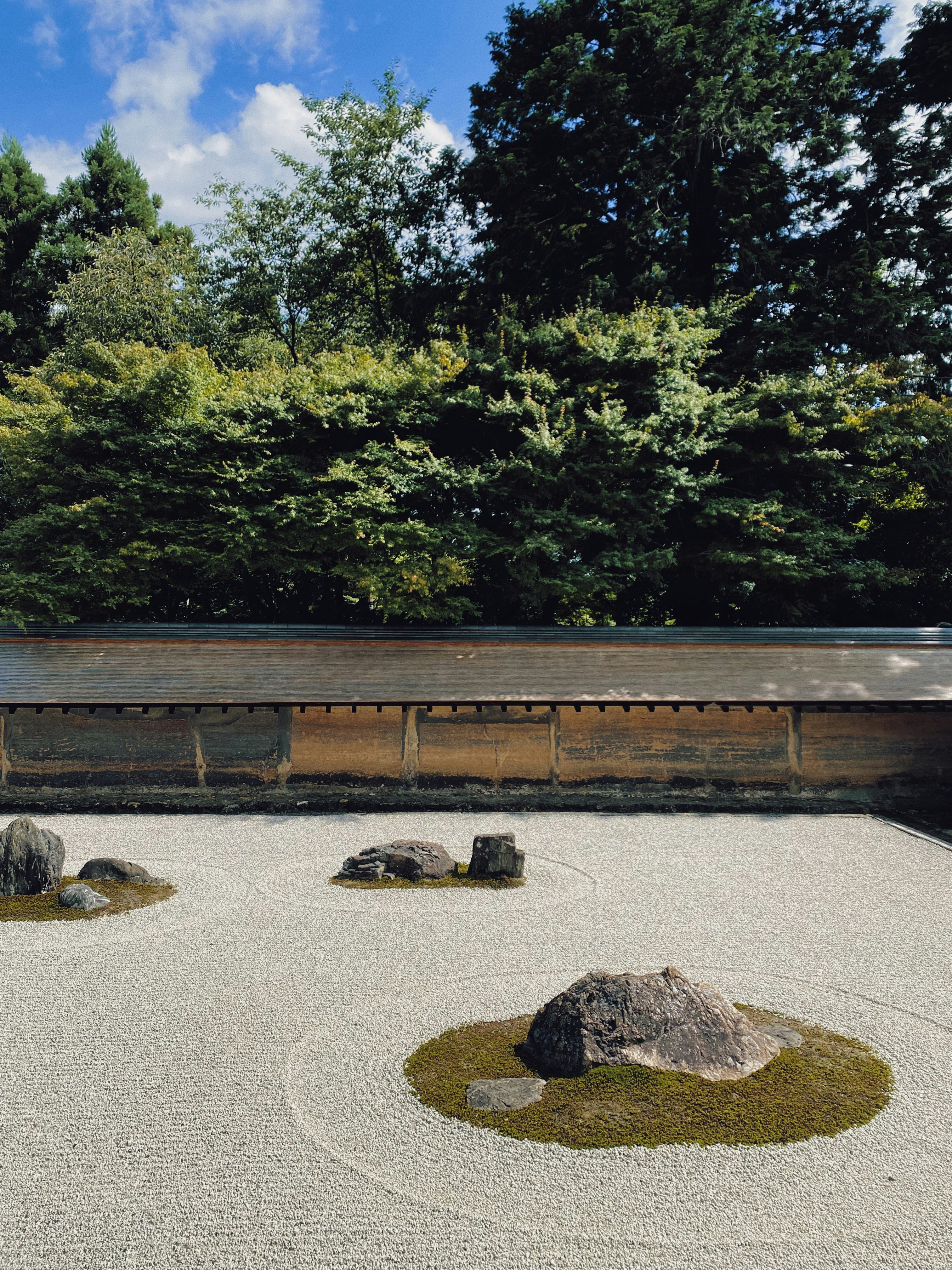 a wooden bench in front of a forest