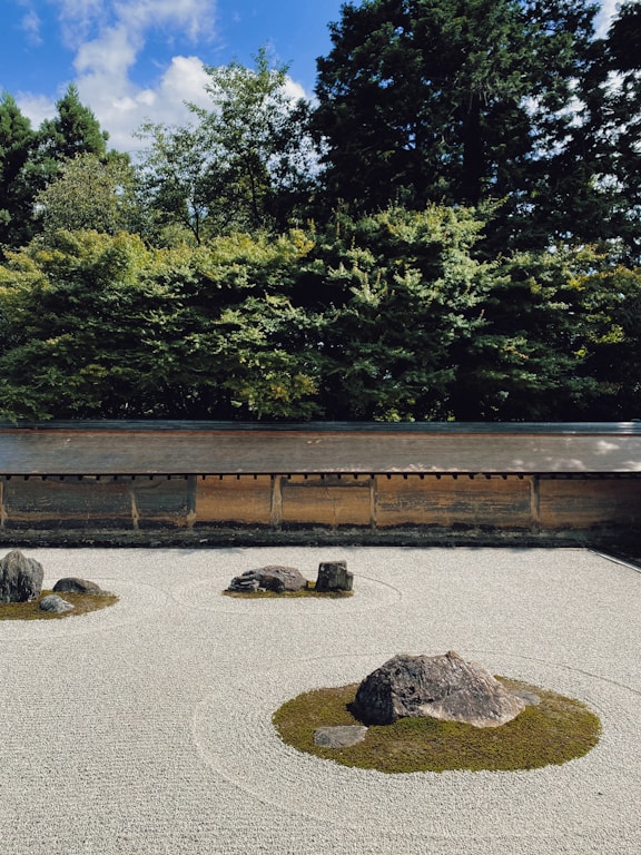 a wooden bench in front of a forest