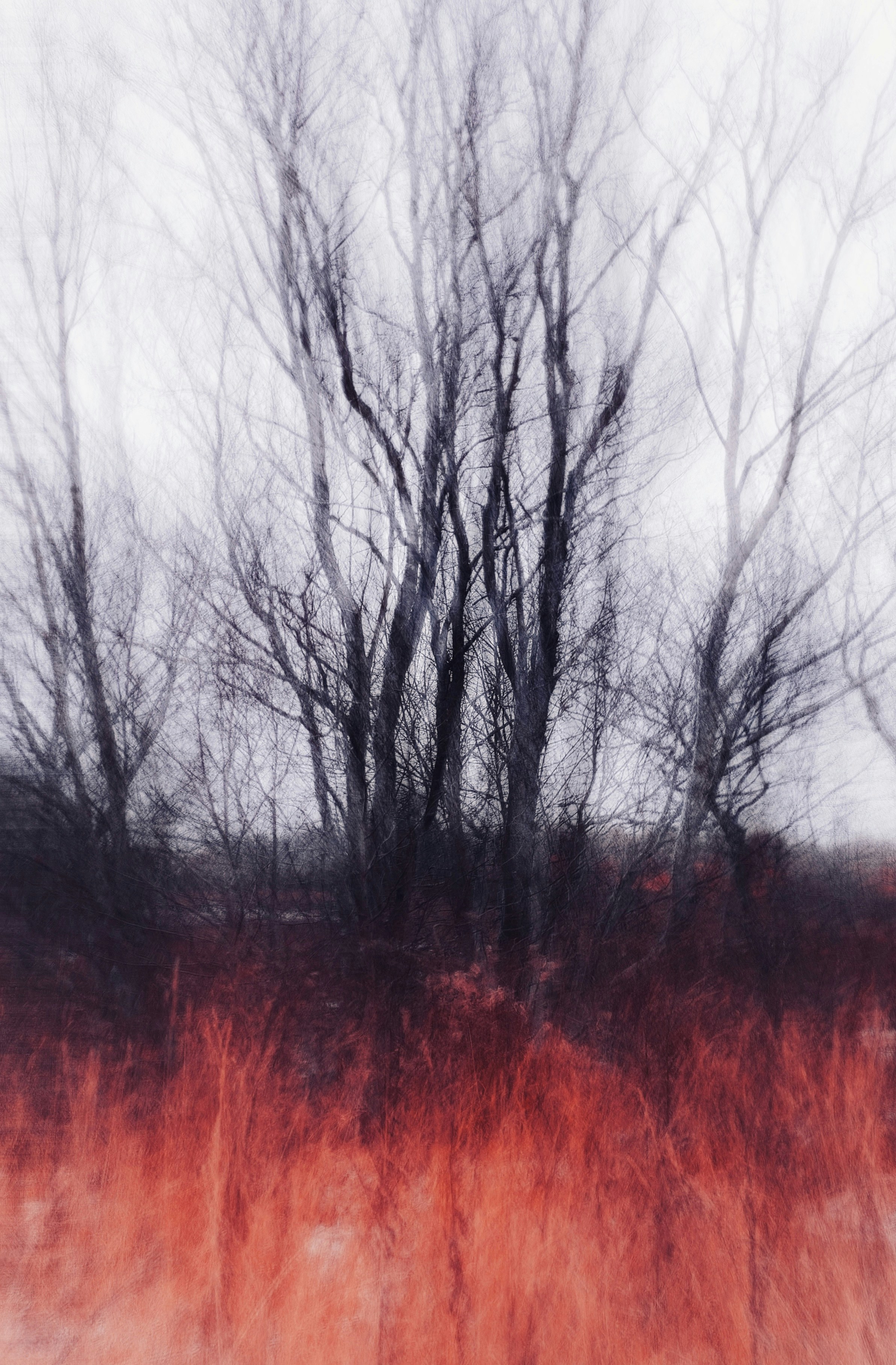 Photo by eugene_golovesov