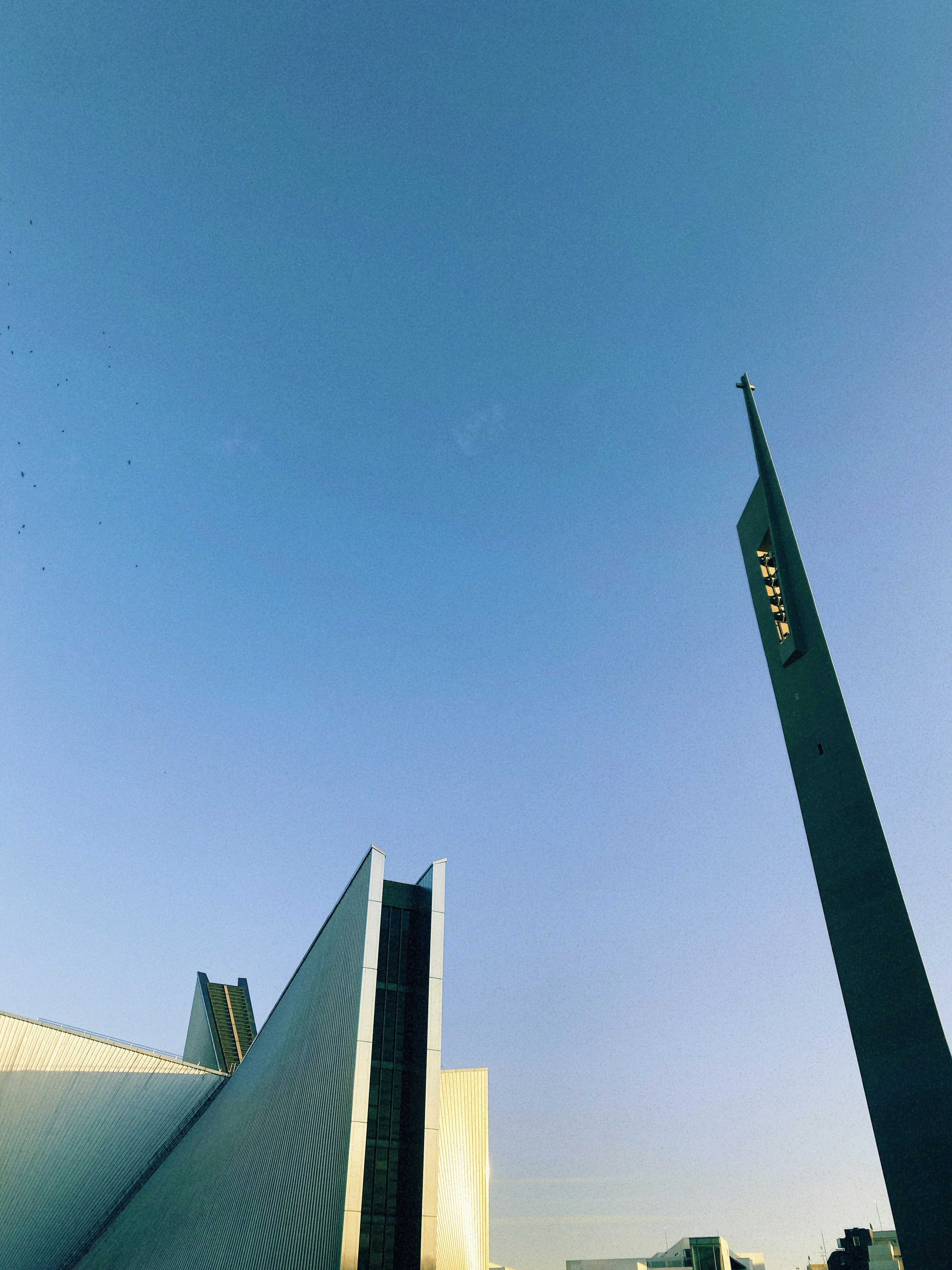 Mejiro - Academic Charm: Exploring the Tranquil Fusion of Education and Serenity